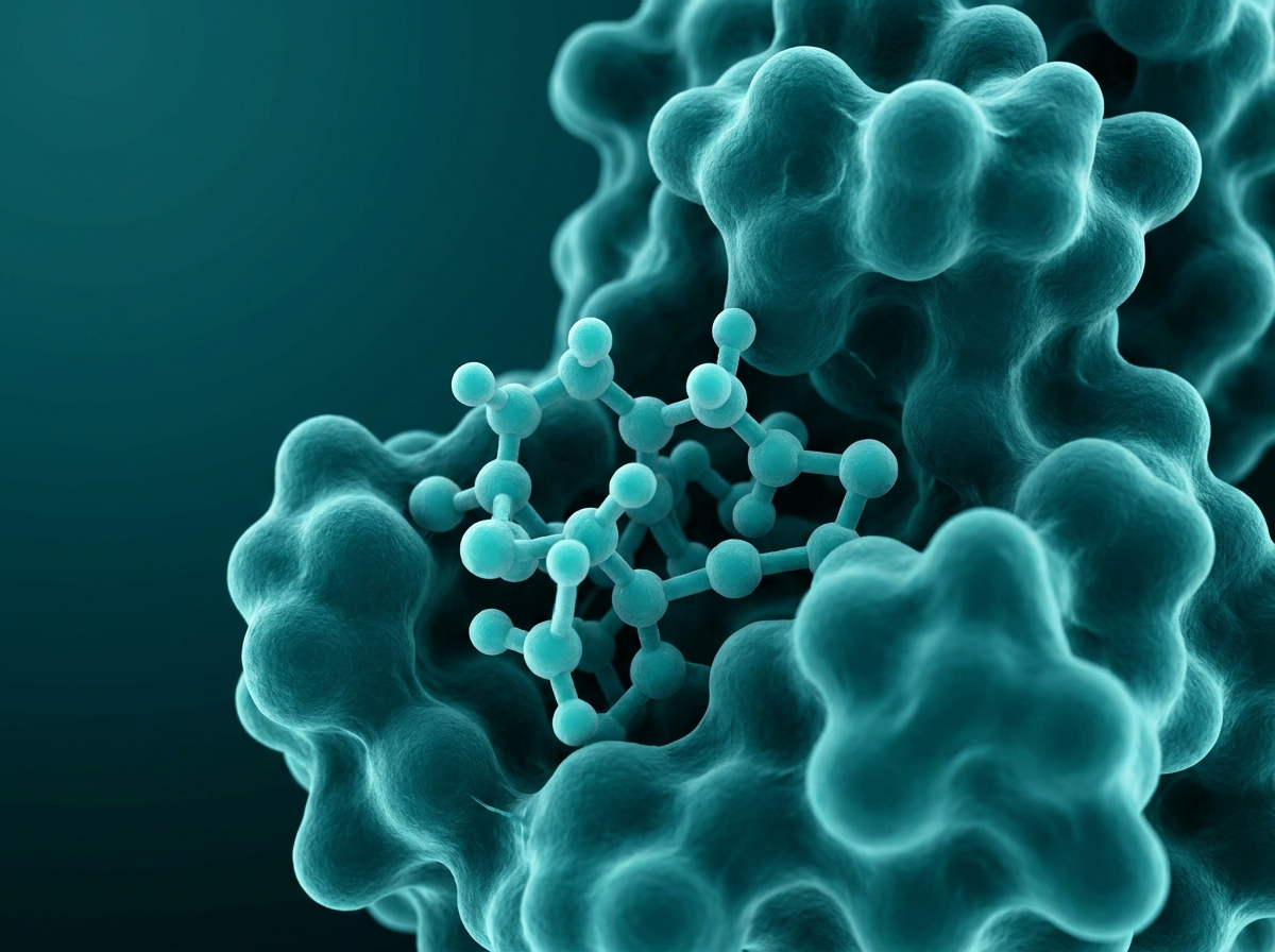 Supporting figure: a single peptide molecule binding its target receptor.