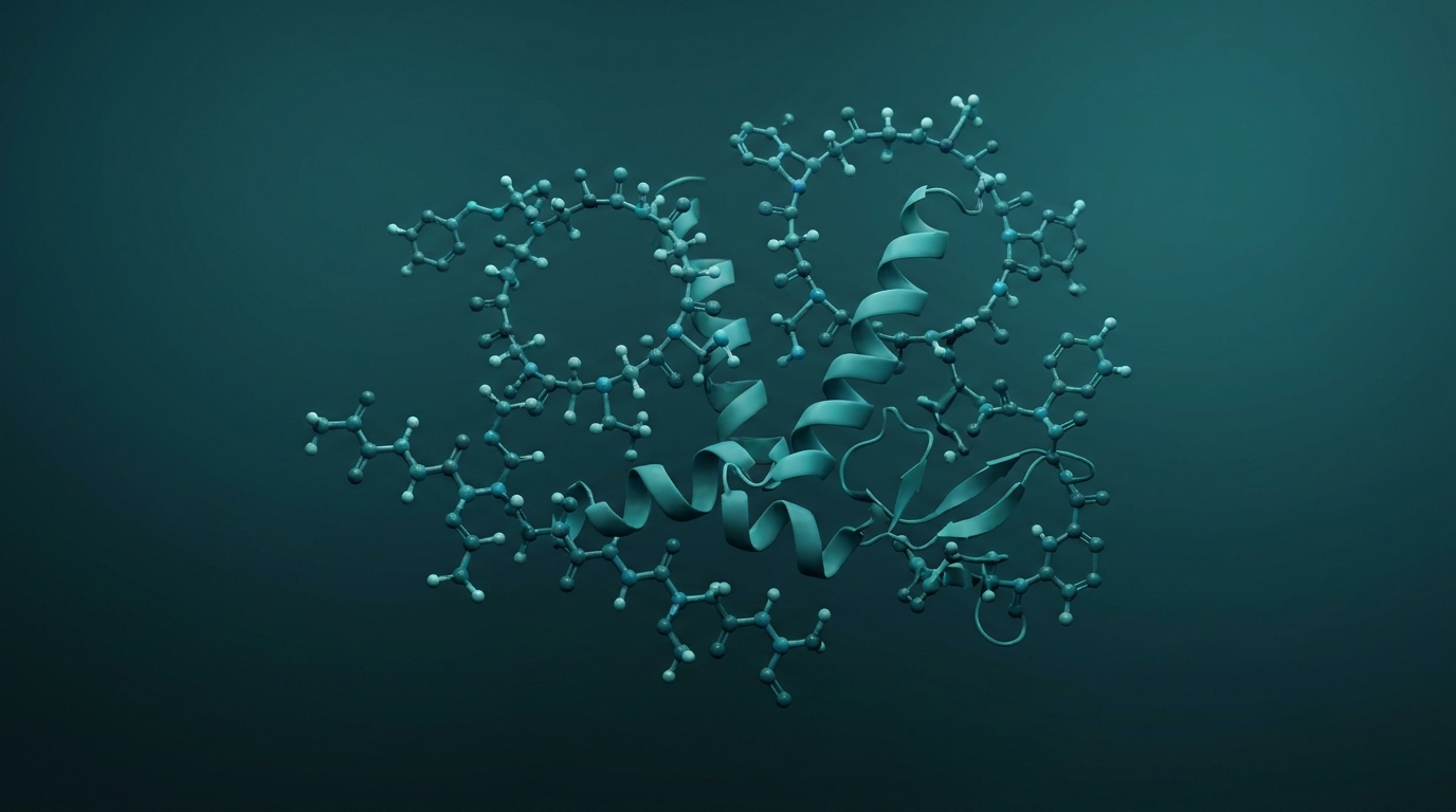 Scientific illustration: several different peptide molecules of varied 3D shapes arranged together.