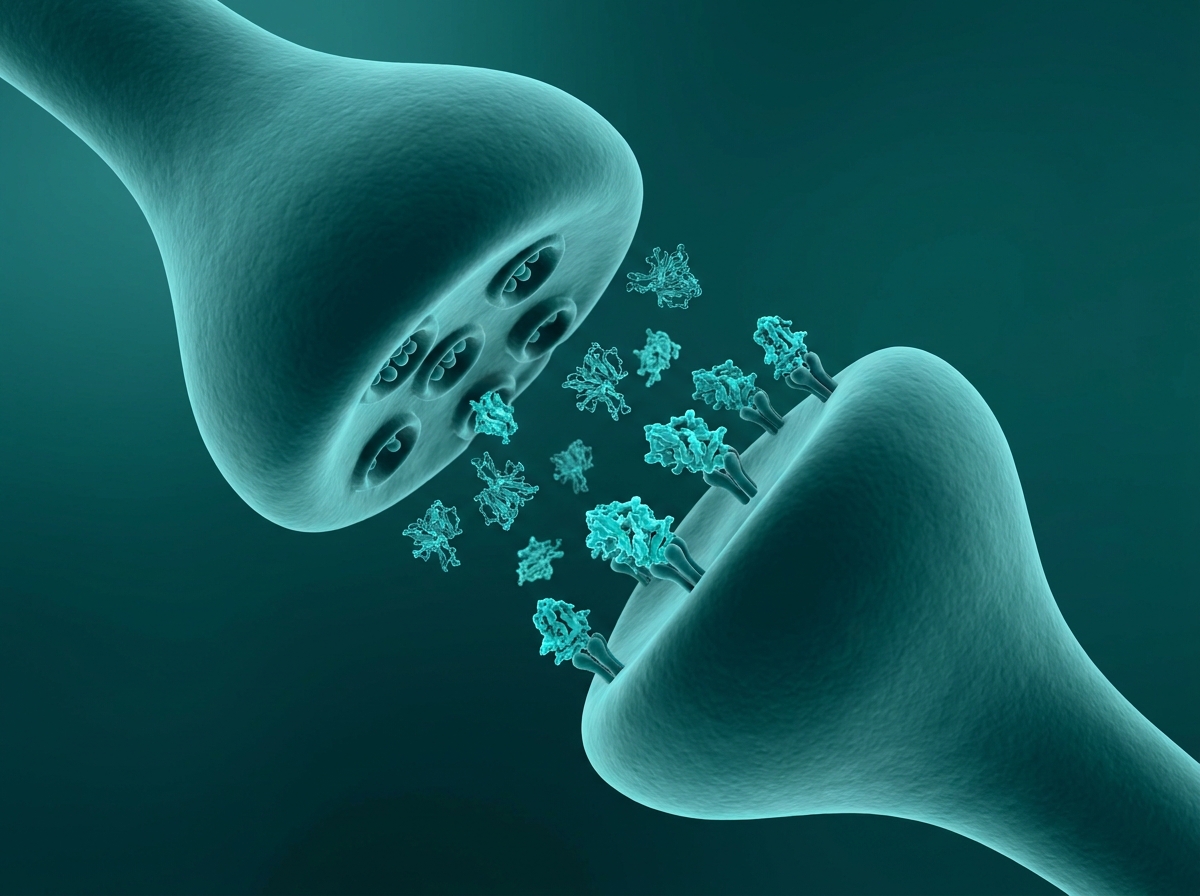 Supporting figure: BDNF growth-factor molecules acting at a synapse between two neurons.