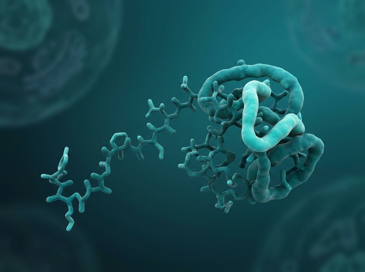 Supporting figure: undefined, illustrating a peptide folding into its three-dimensional shape.